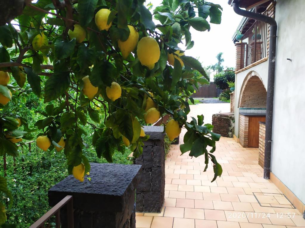 Il Giardino di Galatea room 2